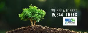 arobs forest IT-companies-in-Romania